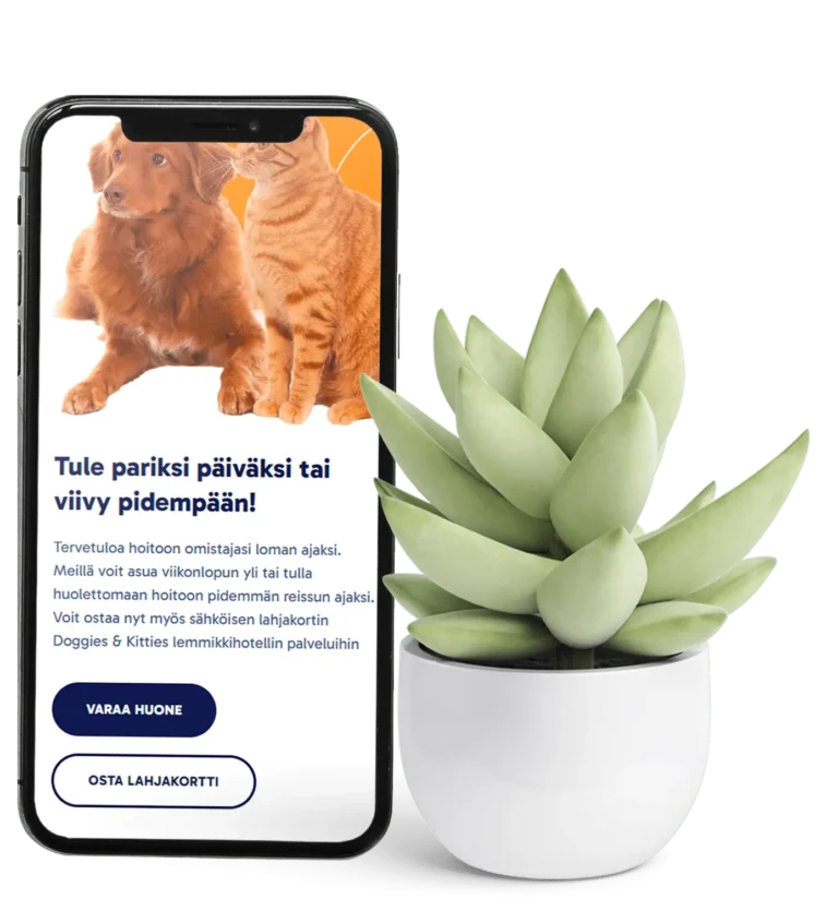 mobiililaitteen ruudussa uudet julkaistut nettisivut yritykselle